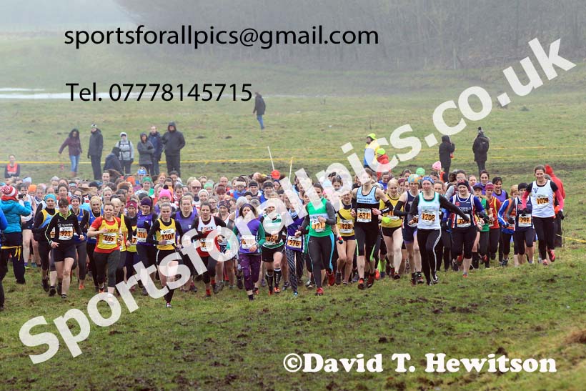 Senior womens 2022 North Eastern Harrier League, Thornley Farm, Peterlee, County Durham. Photo: David T. Hewitson/Sports for All Pics